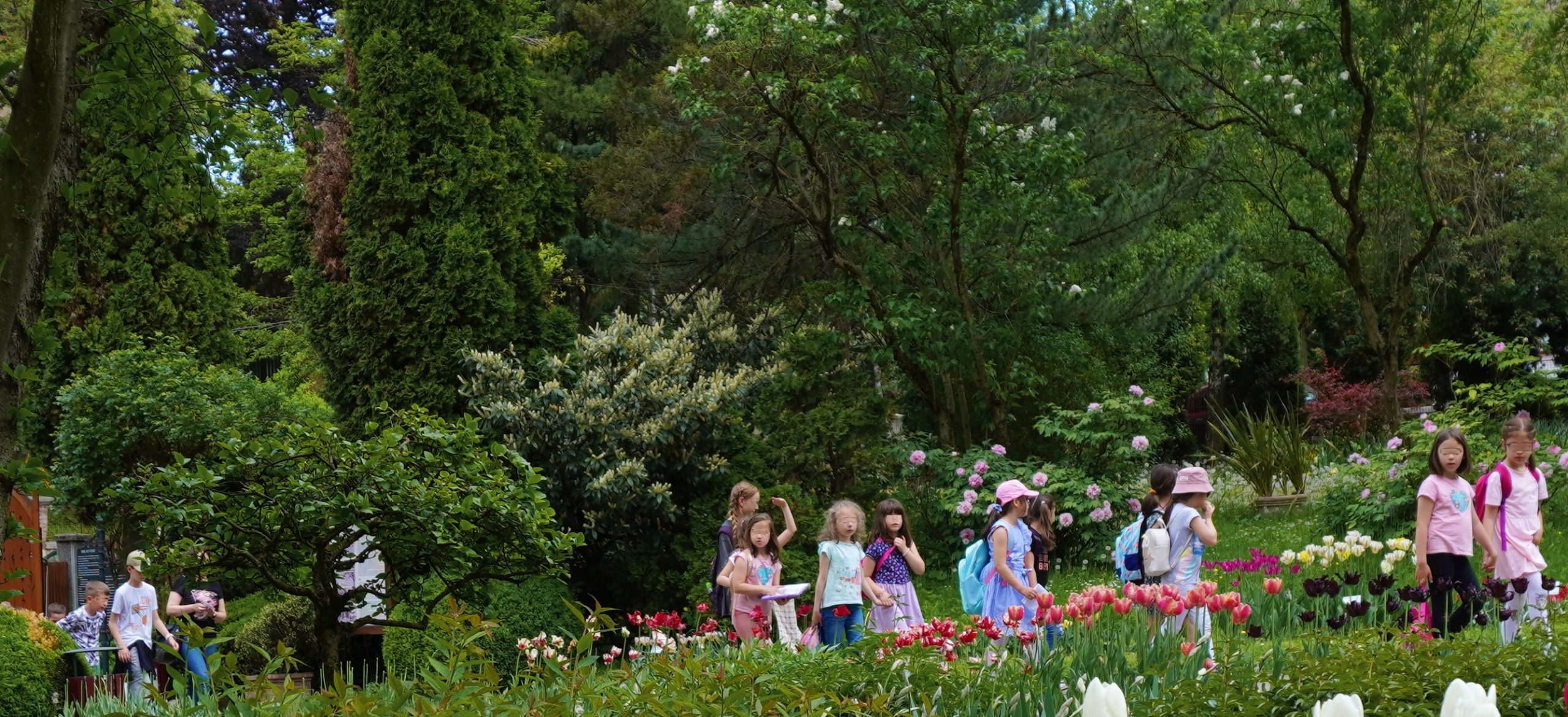 Grădina Botanică „A. Borza” aniversează Ziua Copilului